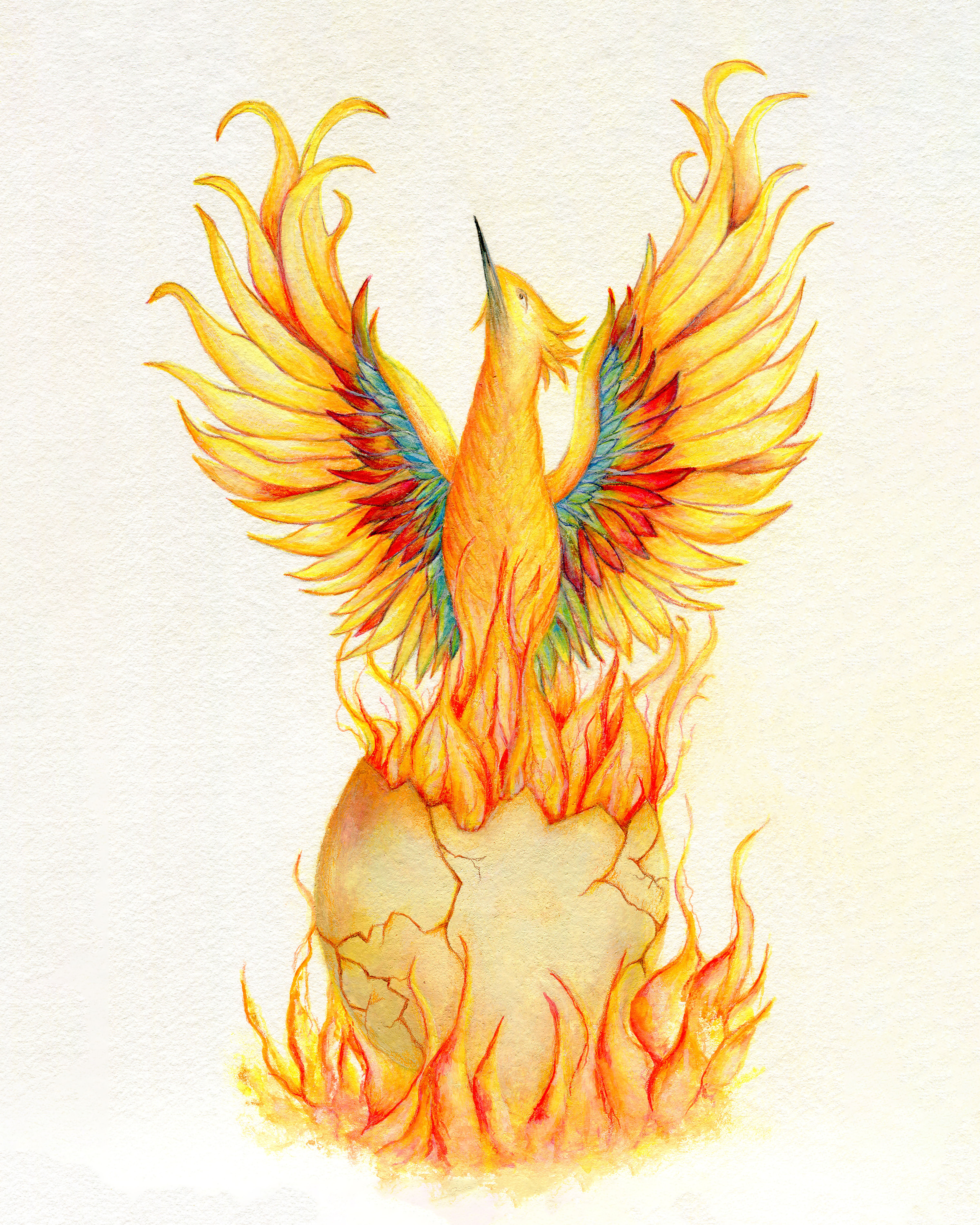 Phoenix