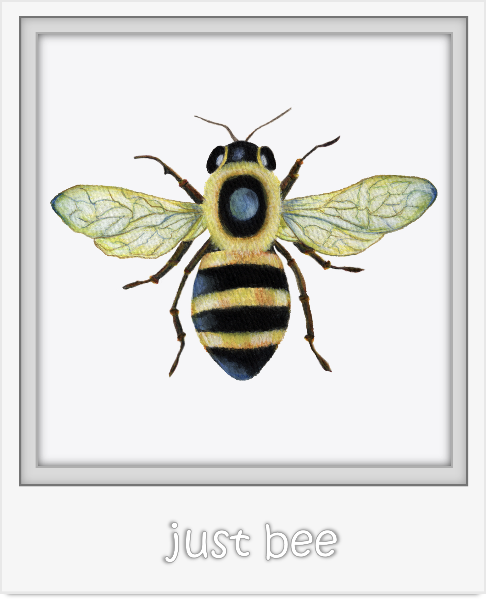 Watercolor Bee