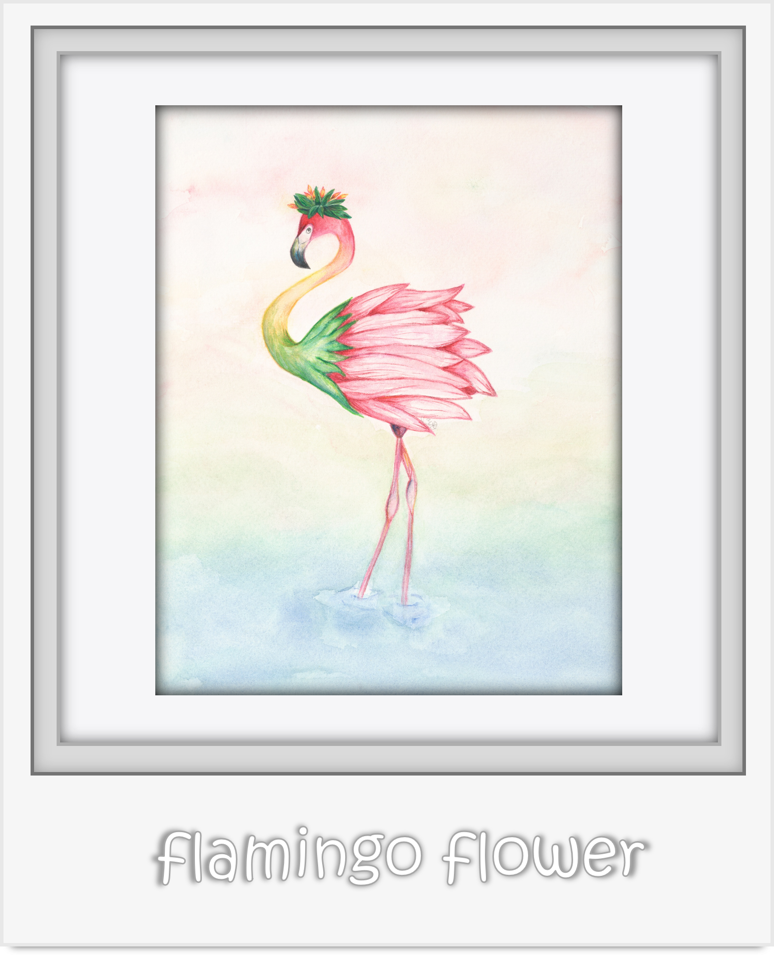 flamingo flower